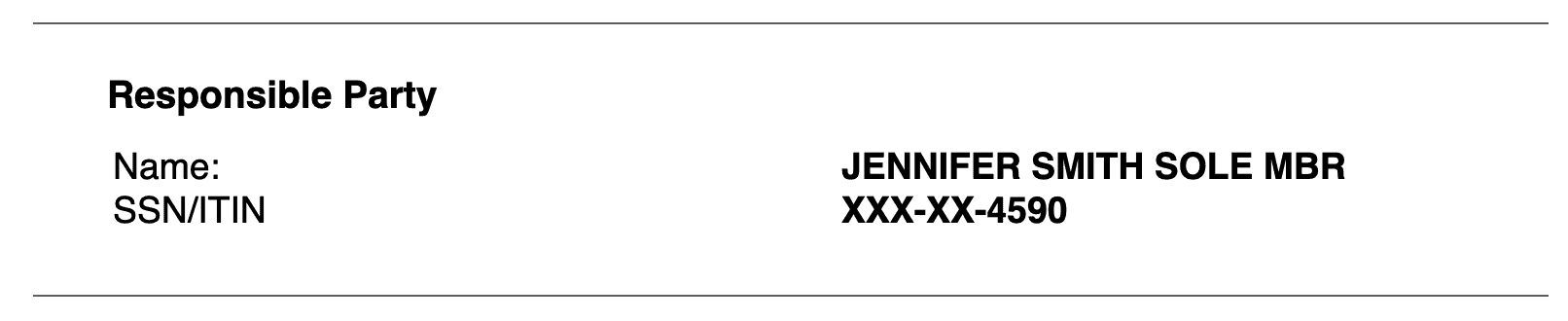 SOLE MBR IRS EIN Summary